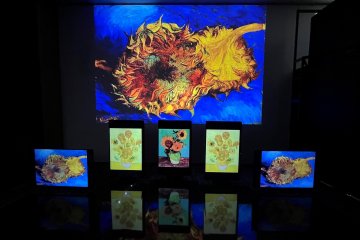 Moving Vincent Van Gogh Exhibition