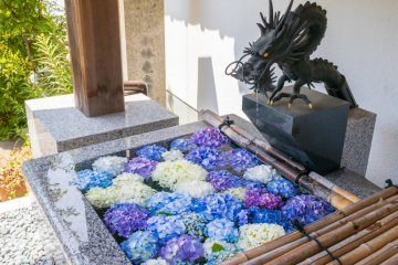 Otakiyama Saihoin Hydrangea Festival