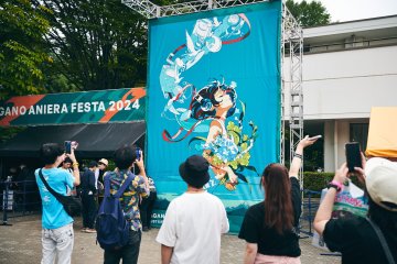 Aniera Festa