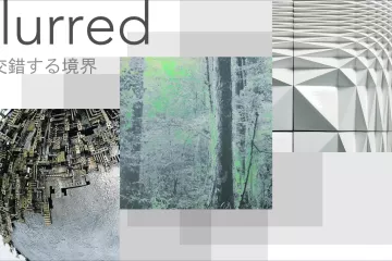 Blurred: Intersecting Boundaries