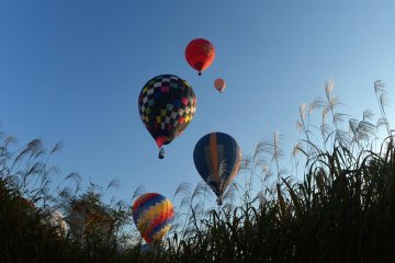Ichinoseki Hiraizumi Balloon Festival