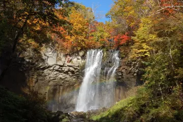 Takino Autumn Leaves Festival