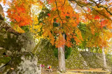 Takatori Castle Festival
