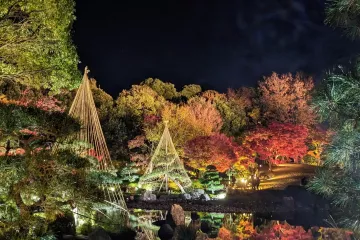 Hanahata Memorial Garden Autumn Illuminations