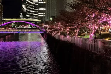 Meguro River Minna no Illumi