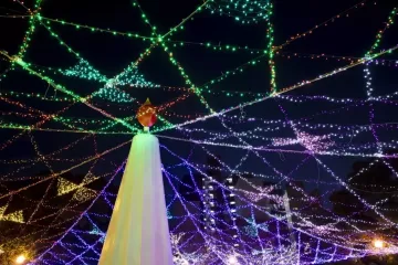 Shunan Winter Tree Festival