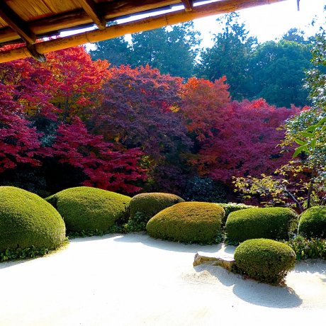 Japanese Gardens of Kyoto