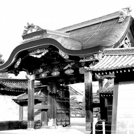 Beauty of Nijo Castle