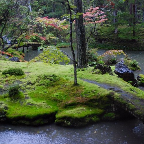 Shinji Ike pond