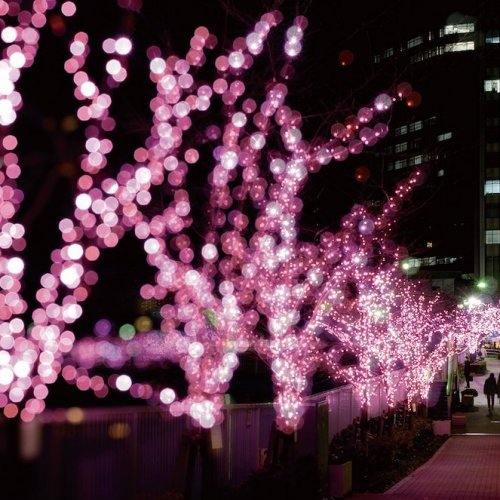 Meguro River