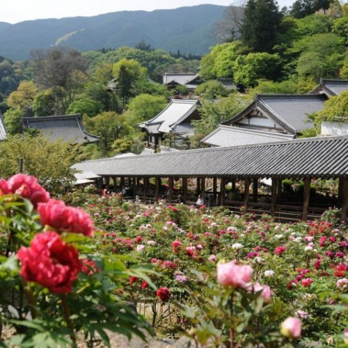 Hasedera Temple