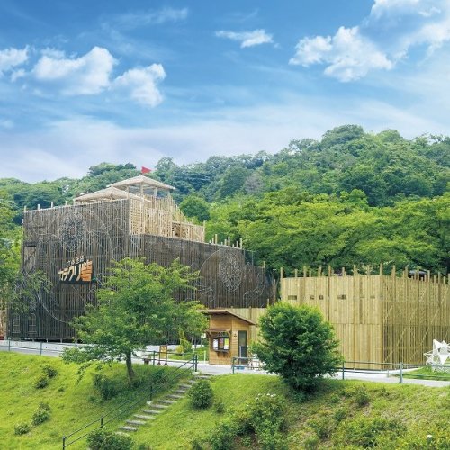 Fort of Karakuri