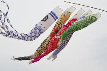 어린이날(5월 5일)을 기념해 봄이면 코이노보리가 보인다