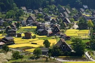 <p>ภาพมุมกว้างของหมู่บ้านชิราคาวาโกะกับสีเขียวของนาข้าวในหน้าร้อน</p>