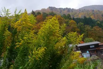 <p>บรรยากาศภายในหมู่บ้าน</p>
