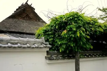 <p>Uji is an old town, and you can see the occasional thatched roof here.</p>