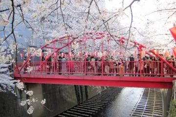 <p>มีสะพานข้ามคลองเป็นระยะๆ</p>