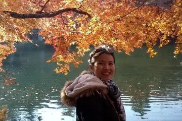 <p>โมมิจิสีทองอร่าม</p>