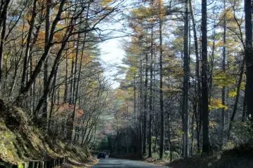 <p>ถนนสายโรแมนติก</p>