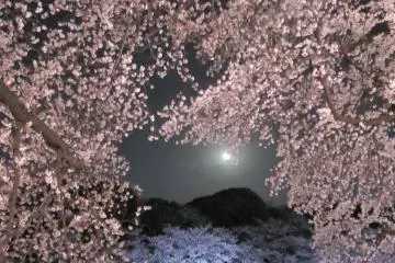 <p>เป็นภาพที่สวยเหมือนภาพเขียน</p>
