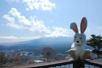 <p>รูปปั้นกระต่าย สัญลักษณ์ของกระเช้าลอยฟ้า Kachi Kachi Ropeway</p>