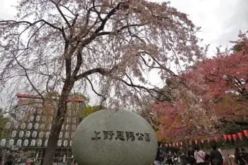 <p>The entrance to Ueno Park located in central Tokyo</p>