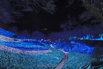 Meadow