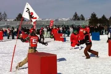 <p>Protect the flag!!!</p>
