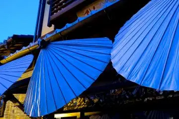 <p>Classical type of Japanese umbrella</p>