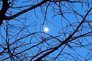 <p>Very brilliant small moon</p>
