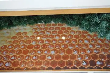 <p>A picture from the Akita beehive.</p>