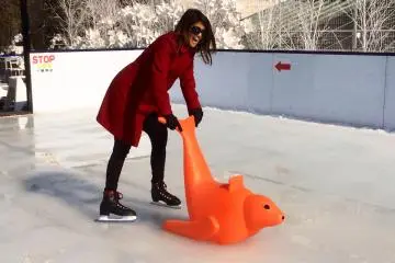 <p>Mr. orange seal was also my best friend this day</p>