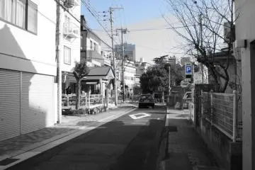 절로 이어지는 거리는 일본의 여느 평범한 길과 똑같이 생겼고 건물은 잘 숨겨져 있다. 그 스냅은 웅장한 흰 대리석 사원을 처음으로 볼 수 있는 정확한 지점이다