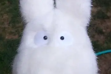 This little creature might be waiting for you at the Totoro house.