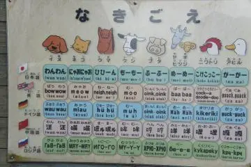 <p>If you want to make friends with these animals, then better start learning their languages</p>

<p></p>

<p></p>

<p></p>

<p></p>

<p></p>

<p></p>