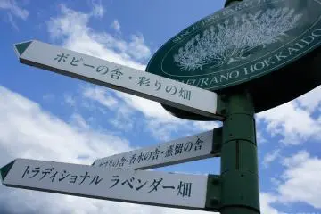 <p>เดินไปก็นึกในใจไป "ขอบคุณจริงๆที่วันนี้ฟ้าใส"</p>

