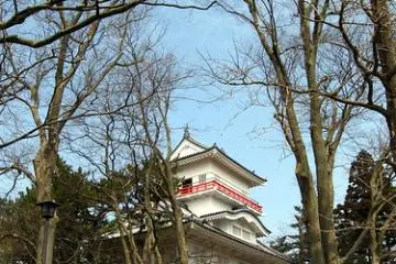 Senshu park is large and beautiful to walk in during cherry blossum time