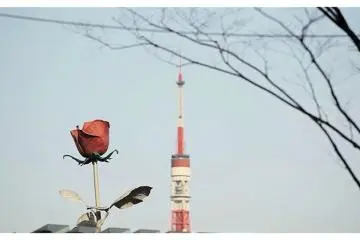<p>Patung Mawar Raksasa di&nbsp;Tokyo Tower&nbsp;di Roppongi Hills, Tokyo, Jepang</p>