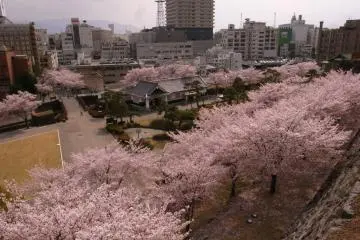 Kofu Castle