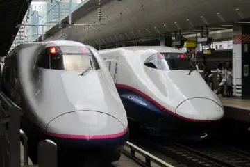 <p>E2 x E2
&nbsp;</p>