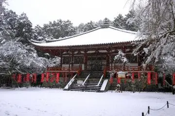 <p>Daikodo Hall</p>

