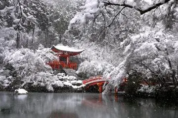 Snow at Daigo Temple