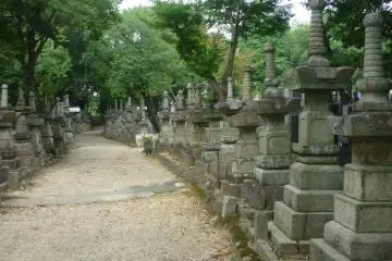 The ancient graveyard behind Koshoji Temple, Nagoya.