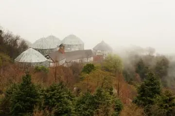 Glasshouse at Kobe's Herb Gardens