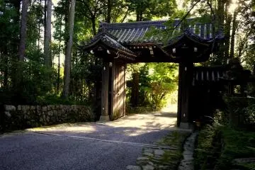 Looking through the gate into late afternoon sunlight