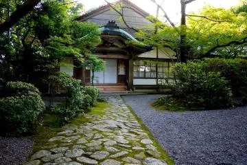 Mossy stone path bordered with gravel