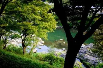 <p>วิวแม่น้ำ Hoso ผ่านแวบไปเมื่อมองทะลุต้นไม้ขณะที่เรากำลังจะถึง Arashiyama</p>

<p></p>

<p></p>