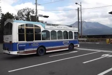 <p>Another of the buses</p>
