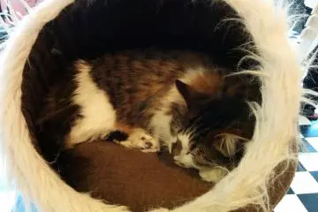 <p>นอนดีกว่า &nbsp;</p>