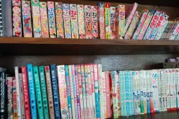 <p>นิตยสารและการ์ตูนเกี่ยวกับแมว</p>